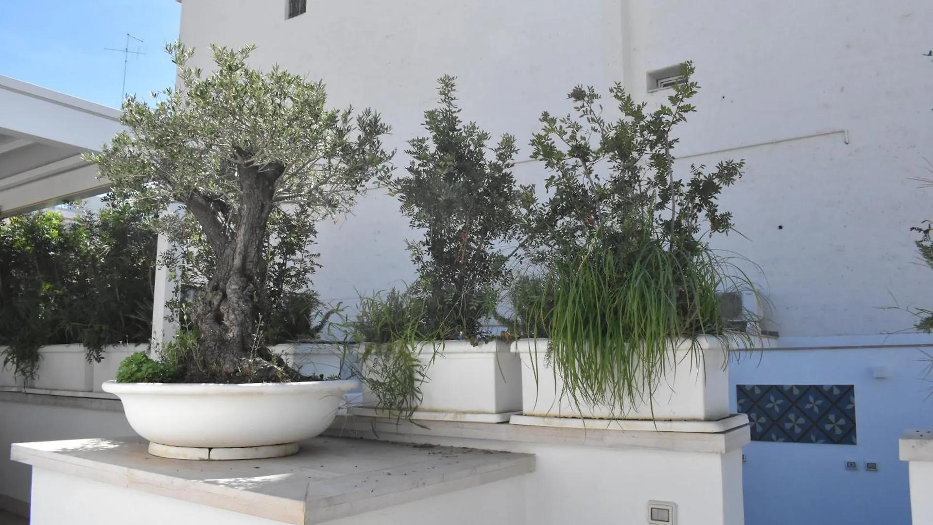Saint Barth Guest House - Charming Rooms In Bari